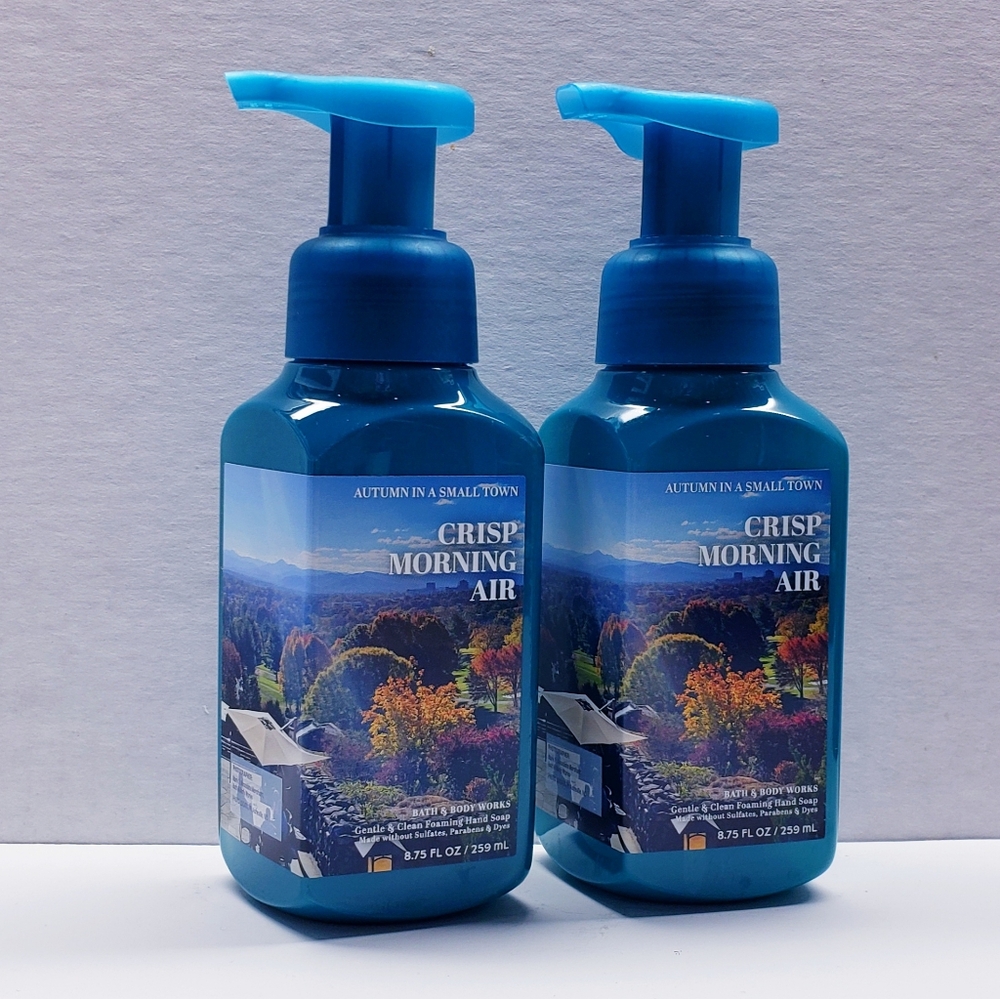 Bath & Body Works CRISP MORNING AIR Gentle & Clean Foaming Hand Soap (2 pack)